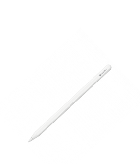 pencil cat