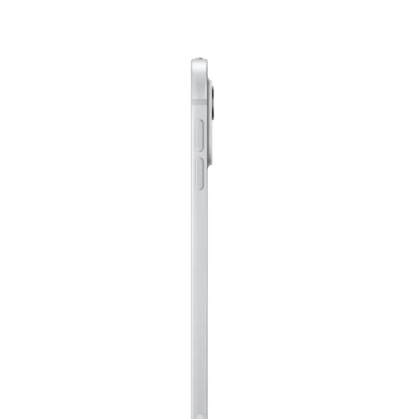 iPad Pro 11" M4 WiFi 256GB